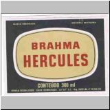 brahma089.jpg