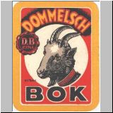 dommel153.JPG
